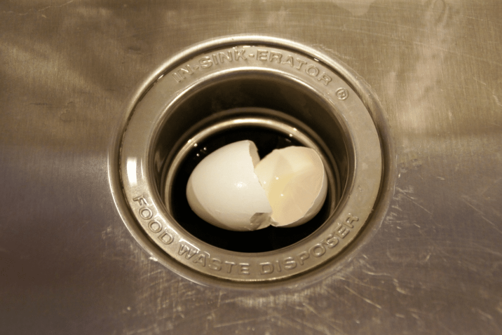 eggshell in sink