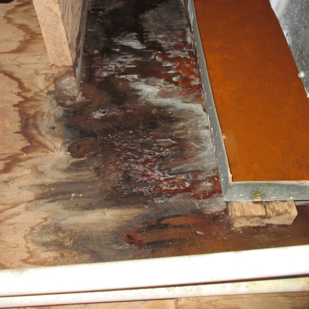 Why Ignoring a Clogged Drain Could Be Disastrous for Your Home